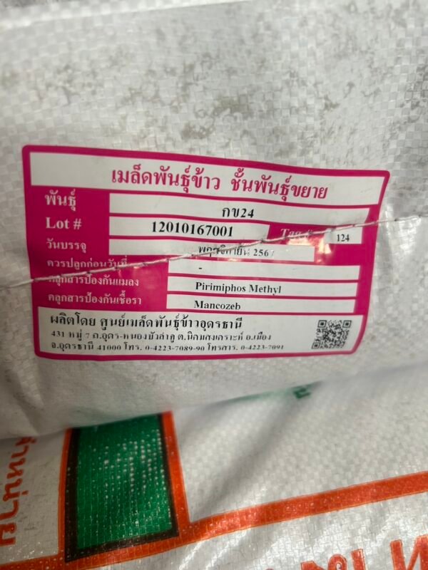 เมล็ดพันธุ์ข้าว กข24 ขยาย กรมการข้าว #ส่งฟรี #เก็บเงินปลายทาง - Image 4