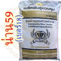 เมล็ดพันธุ์ข้าว น่าน59 ตราเขี้ยวงูทอง #ส่งฟรี #เก็บเงินปลายทาง