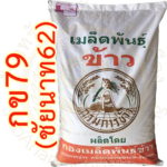 เมล็ดพันธุ์ข้าว กข79 (ชัยนาท62) กรมการข้าว #ส่งฟรี #เก็บเงินปลายทาง