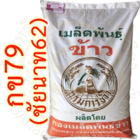 เมล็ดพันธุ์ข้าว กข79 (ชัยนาท62) กรมการข้าว #ส่งฟรี #เก็บเงินปลายทาง