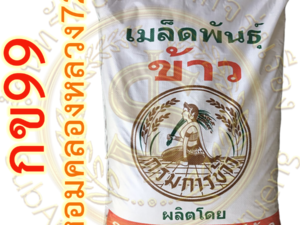เมล็ดพันธุ์ข้าว กข99 (หอมคลองหลวง 72) ขยาย กรมการข้าว #ส่งฟรี #เก็บเงินปลายทาง