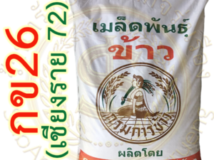 เมล็ดพันธุ์ข้าว กข26 ( เชียงราย72 ) กรมการข้าว #ส่งฟรี #เก็บเงินปลายทาง