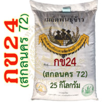 เมล็ดพันธุ์ข้าว กข24 (สกลนคร 72) #ส่งฟรี #เก็บเงินปลายทาง