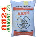 เมล็ดพันธุ์ข้าว กข24 (สกลนคร 72) ตราเมขลา #ส่งฟรี #เก็บเงินปลายทาง