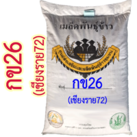 เมล็ดพันธุ์ข้าว กข26 ( เชียงราย72 ) #ส่งฟรี #เก็บเงินปลายทาง