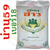 เมล็ดพันธุ์ข้าว น่าน59 เบอร์18 #ส่งฟรี #เก็บเงินปลายทาง