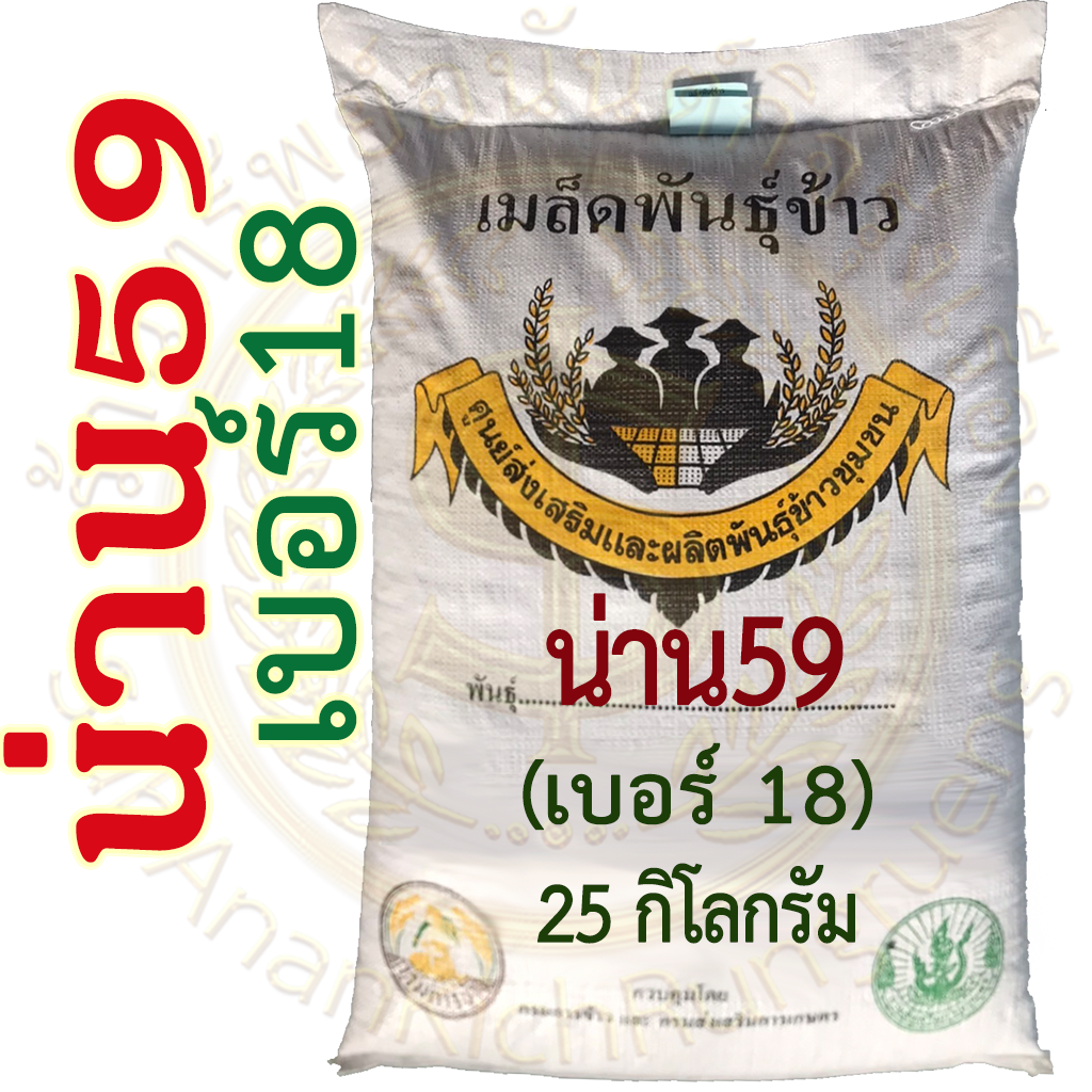 เมล็ดพันธุ์ข้าว น่าน59 เบอร์18 #ส่งฟรี #เก็บเงินปลายทาง - Image 4