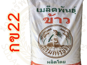 เมล็ดพันธุ์ข้าว กข22 กรมการข้าว (25 กก) #ส่งฟรี #เก็บเงินปลายทาง