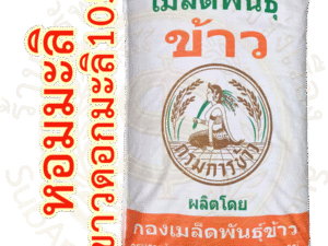 เมล็ดพันธุ์ข้าว ขาวดอกมะลิ105 (ใช้ปลูกนาปี2568 และนอกฤดู2568) กรมการข้าว #ส่งฟรี #เก็บเงินปลายทาง