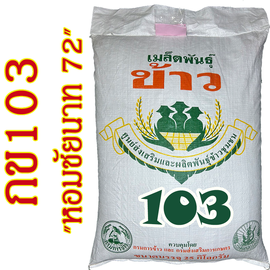 เมล็ดข้าวเปลือกเจ้านาปี กข103 ( หอมชัยนาท 72 ) ขนาดบรรจุ 25 กิโลกรัม หอมนุ่มเหนียว #ส่งฟรี #เก็บเงินปลายทาง - Image 2