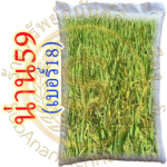 เมล็ดพันธุ์ข้าว น่าน59 เบอร์18 #ส่งฟรี #เก็บเงินปลายทาง
