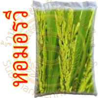 เมล็ดข้าวเปลือกเจ้า "หอมอรวี" (บรรจุ 20 กก.) #ส่งฟรี #เก็บเงินปลายทาง