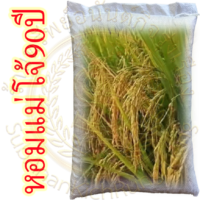 เมล็ดข้าวเปลือก หอมแม่โจ้90ปี(บรรจุ 25กก.) หอมอ่อนนิ่มผลผลิตสูง #ส่งฟรี #เก็บเงินปลายทาง