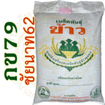 เมล็ดพันธุ์ข้าว กข79 (ชัยนาท62) #ส่งฟรี #เก็บเงินปลายทาง