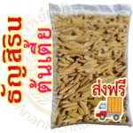 เมล็ดข้าวเปลือกเหนียว ธัญสิริน (ต้นเตี้ย) หอมนุ่ม ต้านทานโรคไหม้ ผลผลิตสูง #ส่งฟรี #เก็บเงินปลายทาง