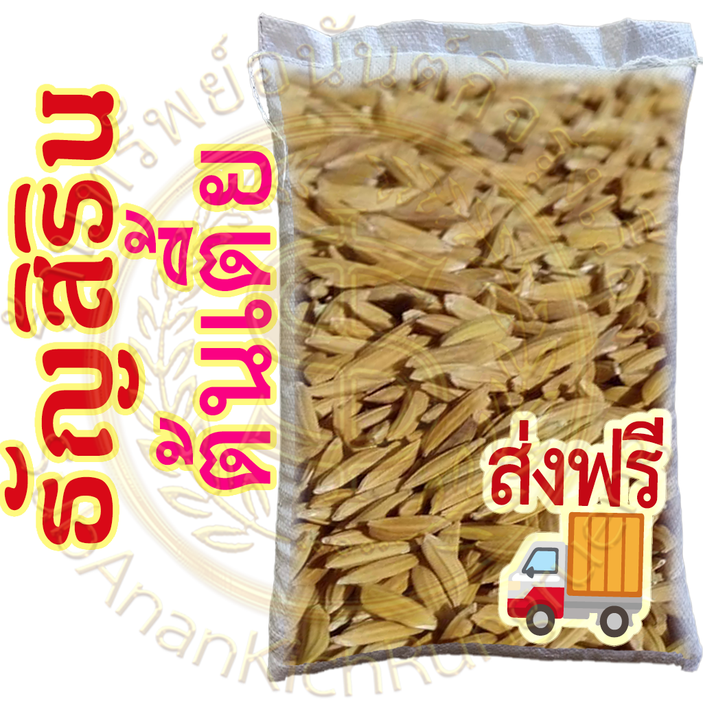 เมล็ดข้าวเปลือกเหนียว ธัญสิริน (ต้นเตี้ย) หอมนุ่ม ต้านทานโรคไหม้ ผลผลิตสูง #ส่งฟรี #เก็บเงินปลายทาง