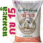 เมล็ดพันธุ์ข้าว กข15 (ใช้ปลูกนาปี2569) กรมการข้าว #ส่งฟรี #เก็บเงินปลายทาง