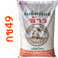 เมล็ดพันธุ์ข้าว กข49 (RD49) กรมการข้าว #ส่งฟรี #เก็บเงินปลายทาง