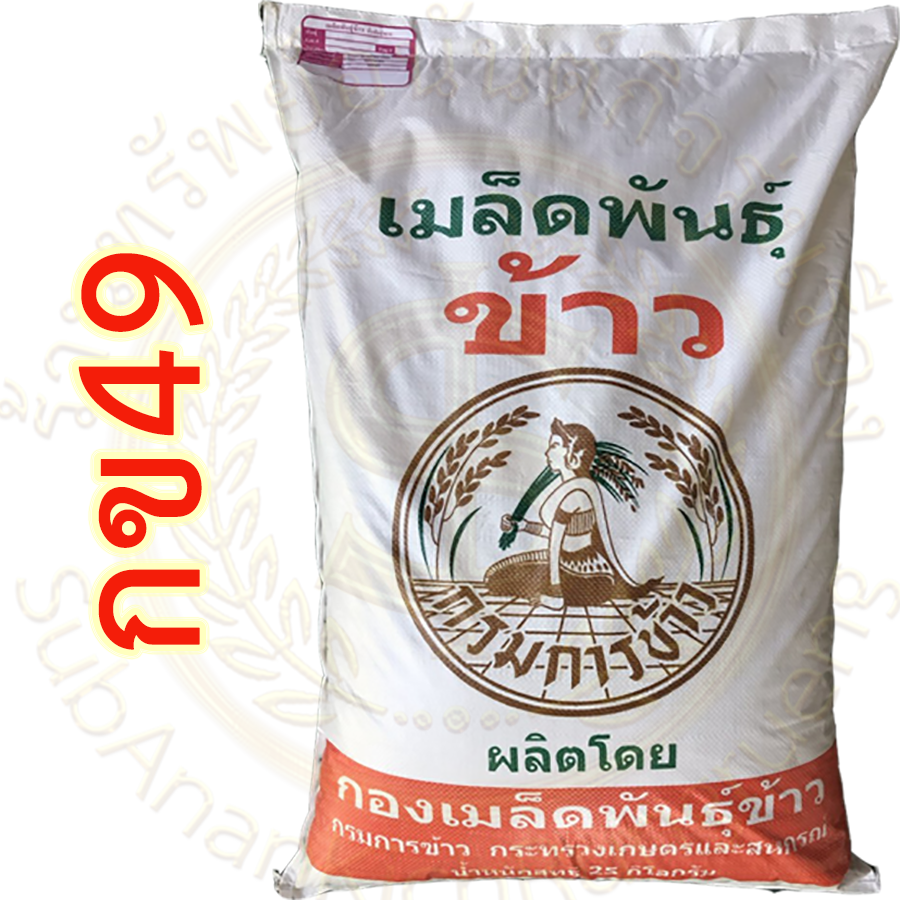 เมล็ดพันธุ์ข้าว กข49 (RD49) กรมการข้าว #ส่งฟรี #เก็บเงินปลายทาง