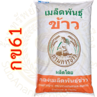 เมล็ดพันธุ์ข้าว กข61 (RD61) กรมการข้าว #ส่งฟรี #เก็บเงินปลายทาง