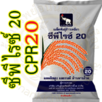 เมล็ดพันธุ์ ข้าวเหนียว ซีพีไรซ์ 20 (CPRICE 20) #ส่งฟรี #เก็บเงินปลายทาง