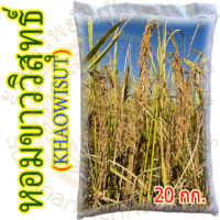 หอมขาววิสุทธิ์