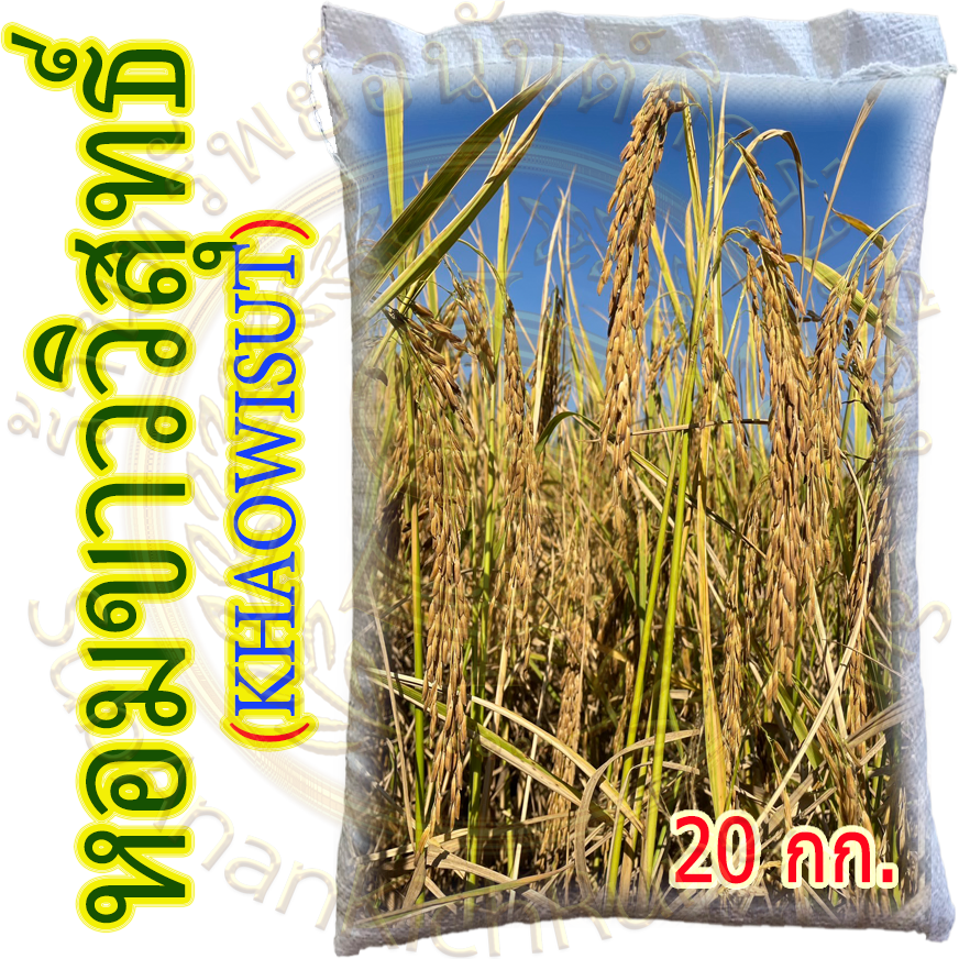 หอมขาววิสุทธิ์