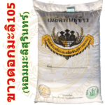 เมล็ดพันธุ์ข้าว ขาวดอกมะลิ105 #หอมมะลิ #สุรินทร์ #ส่งฟรี #เก็บเงินปลายทาง