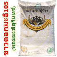 เมล็ดพันธุ์ข้าว ขาวดอกมะลิ105 #หอมมะลิสุรินทร์ #ส่งฟรี #เก็บเงินปลายทาง