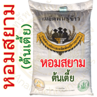 เมล็ดข้าวเปลือก หอมสยาม (ต้นเตี้ย) ข้าวเจ้าหอม นาปี สายพันธุ์ใหม่ #ส่งฟรี #เก็บเงินปลายทาง
