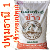 เมล็ดพันธุ์ ข้าวเจ้าหอม ปทุมธานี1 ขยาย กรมการข้าว #ส่งฟรี #เก็บเงินปลายทาง