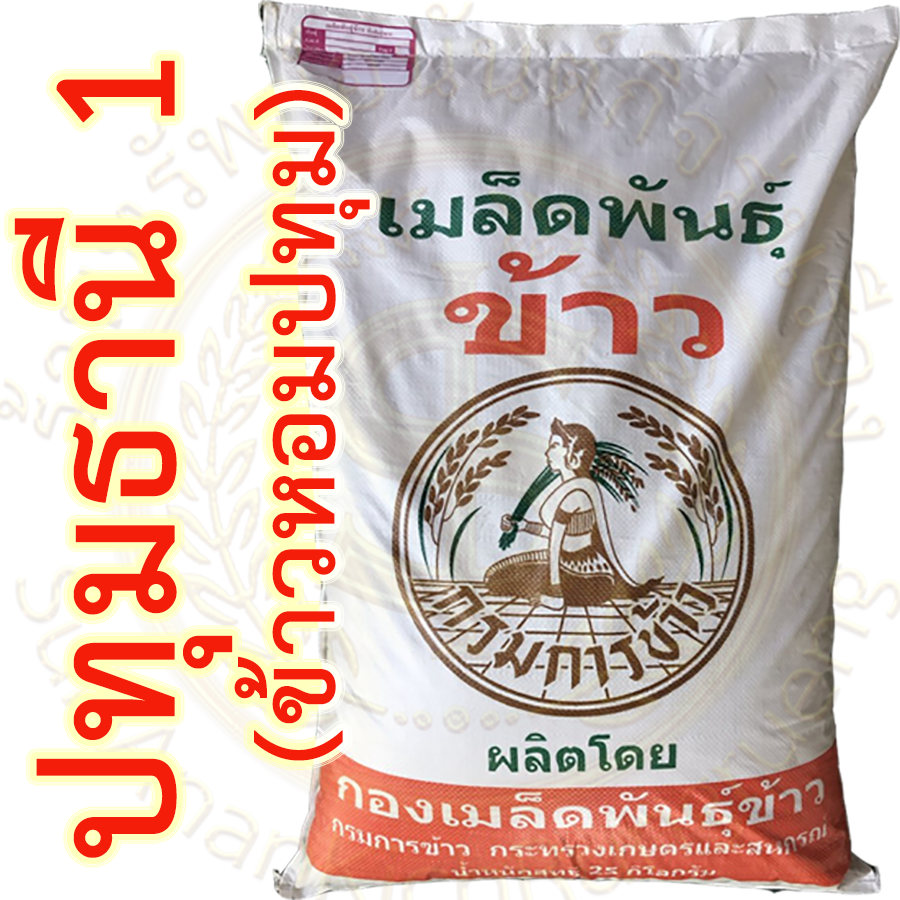 เมล็ดพันธุ์ ข้าวเจ้าหอม ปทุมธานี1 ขยาย กรมการข้าว #ส่งฟรี #เก็บเงินปลายทาง