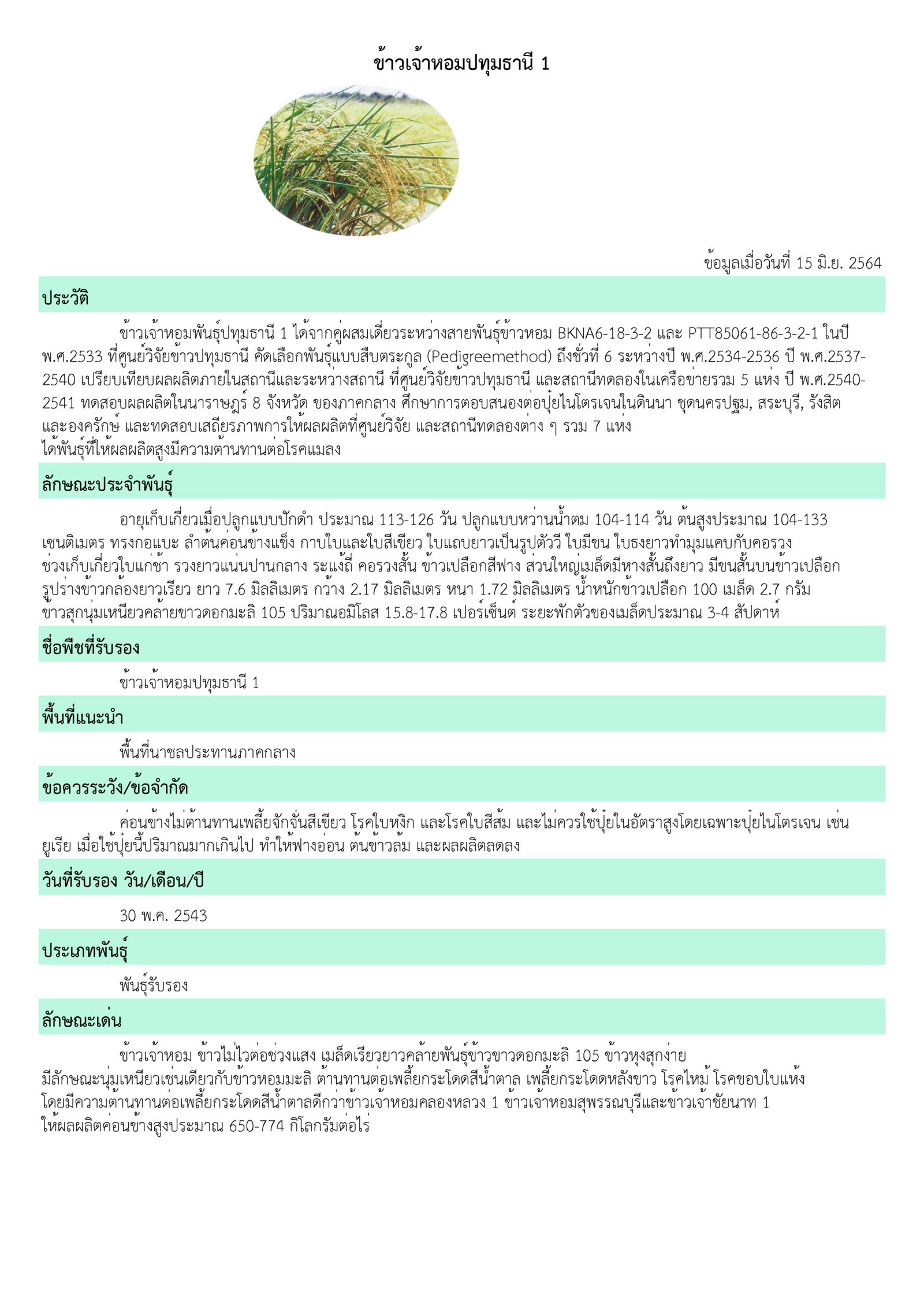 เมล็ดพันธุ์ ข้าวเจ้าหอม ปทุมธานี1 ขยาย กรมการข้าว #ส่งฟรี #เก็บเงินปลายทาง - Image 3